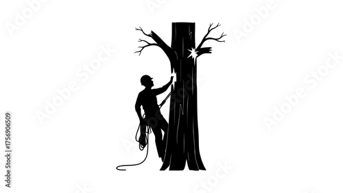 Tree trimming worker climbing with rope with transparent background