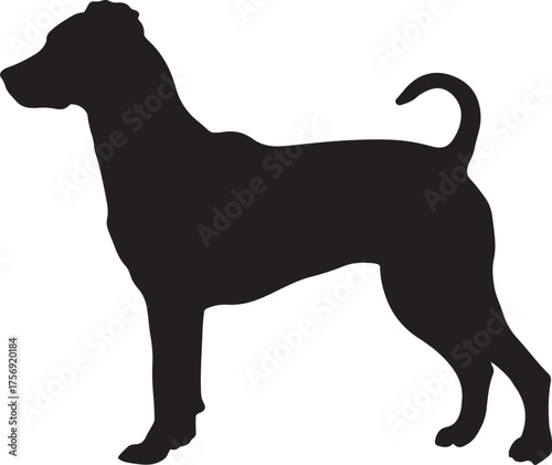 Silhouette of a standing dog with a curled tail on a white background canine