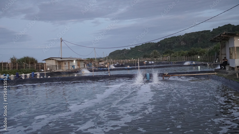 Fototapeta premium Paddle Wheel Aerator in a Fish or Shrimp Pond