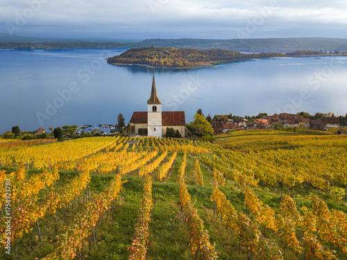 The reformed pilgrimage church in Ligerz Village and the St. Peters Island in the golden autumn vinyards at the lake of Biel in Switzerland