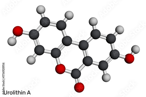Urolithin A molecule. Nutraceuticals, sports recovery. Molecular model. 3D rendering. Illustration