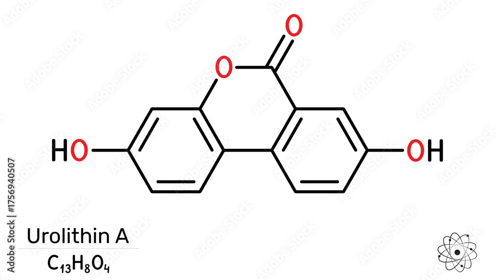 Obraz premium Urolithin A molecule. Nutraceuticals, sports recovery. Vector illustration