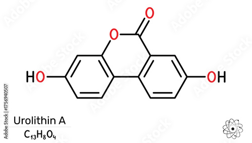 Urolithin A molecule. Nutraceuticals, sports recovery. Vector illustration
