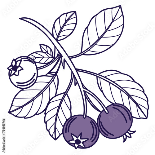 Bilberry Branch with Star Calyx and Veined Leaves