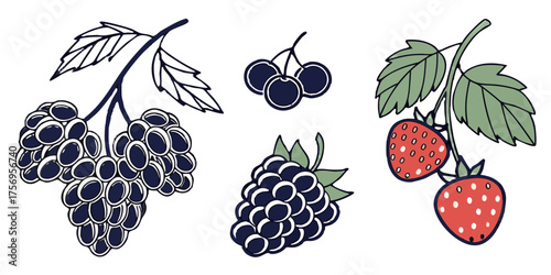 Vibrant collection of fresh berries including strawberries, blackberries, and cherries, perfect for healthy eating and summer recipes