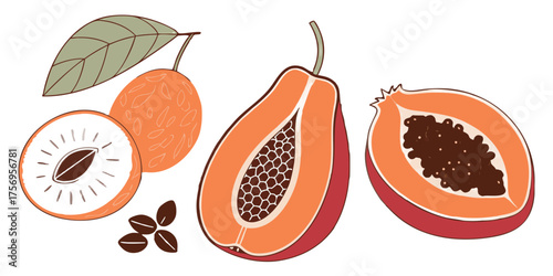 Vibrant collection of fresh tropical fruits including papaya and lychee, perfect for healthy eating and culinary inspiration