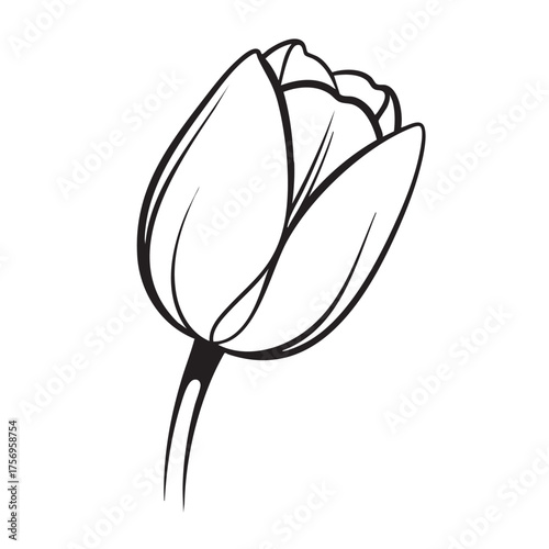 Elegant black and white outline drawing of a tulip flower bud ideal for spring themed designs floral invitations gardening magazines botanical illustrations greeting cards