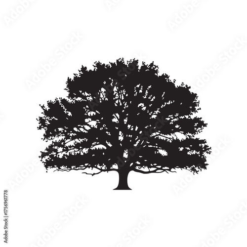 Magnificent Oak Tree Silhouette with Expansive Branches and Rich Foliage Symbolizing Strength Wisdom and Longevity Ideal for Nature and Landscape Designs Isolated on White Background