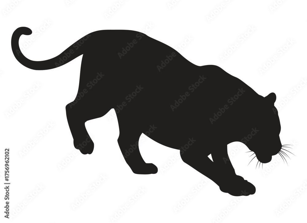 Obraz premium A crouching big cat in an aggressive stance, depicting a tiger or feline predator about to pounce or attack