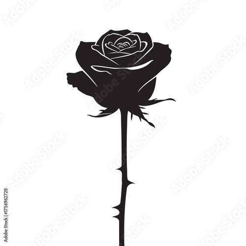 Elegant Single Rose Silhouette with Thorny Stem Symbolizing Beauty Passion and Delicate Nature Isolated on White Background Perfect for Floral and Decorative Designs
