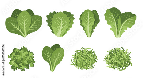 A collection of fresh green lettuce leaves and chopped salad greens in pixel art style.
