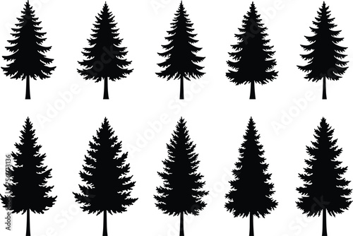 Black pine tree silhouettes collection, evergreen forest vector set, winter nature illustration, fir spruce tree shapes, woodland design clipart