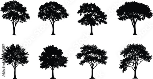 Black deciduous tree silhouettes collection, summer forest vector design, nature foliage illustration, oak maple tree shapes, landscape clipart elements
