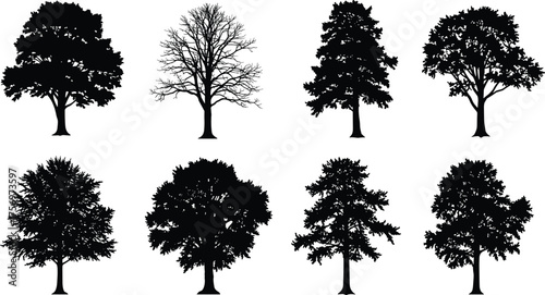 Silhouette collection of deciduous and oak trees, black forest illustration, nature vector elements for outdoor design and landscape artwork