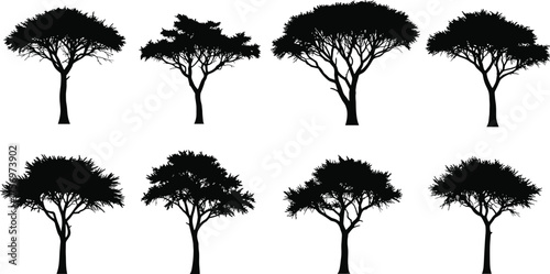 Collection of acacia tree silhouettes, African savanna landscape vector illustration, black isolated trees for nature design and wildlife art