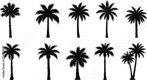 Collection of tropical palm tree silhouettes, black coconut tree vector set, summer beach landscape design elements for vacation illustration