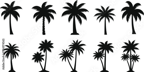 Set of tropical palm tree silhouettes, beach coconut trees vector illustration, summer vacation nature design elements for logo and decor
