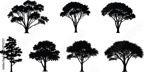 Collection of realistic tree silhouettes, detailed black forest vector illustration, natural landscape design with tropical and deciduous tree shapes