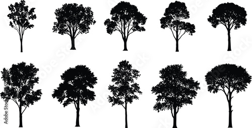 Set of realistic tree silhouettes, black forest illustration, natural landscape vector design, detailed deciduous and tropical tree shapes