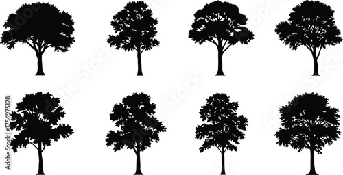 Collection of deciduous tree silhouettes, natural forest vector set, black oak tree shapes for landscape, environment and design illustration