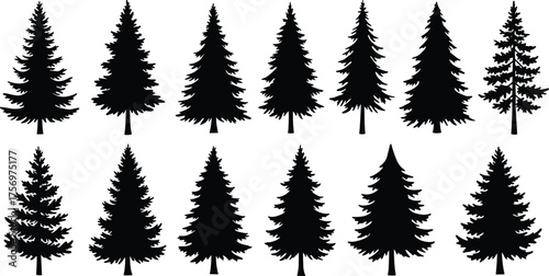 Collection of pine tree silhouettes, evergreen conifer forest vector set, black fir tree shapes for nature, winter and landscape design