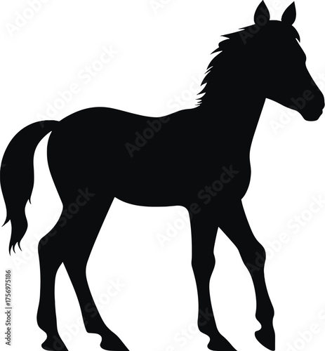 Vector art of silhouette of a young horse walking