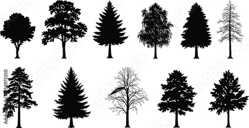 Collection of various tree silhouettes, pine and deciduous forest vector set, black nature illustration for landscape and design elements