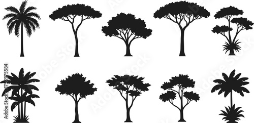 Tropical and savanna tree silhouette collection, black tree shapes, exotic nature vector set, acacia, palm, forest design elements, illustration art