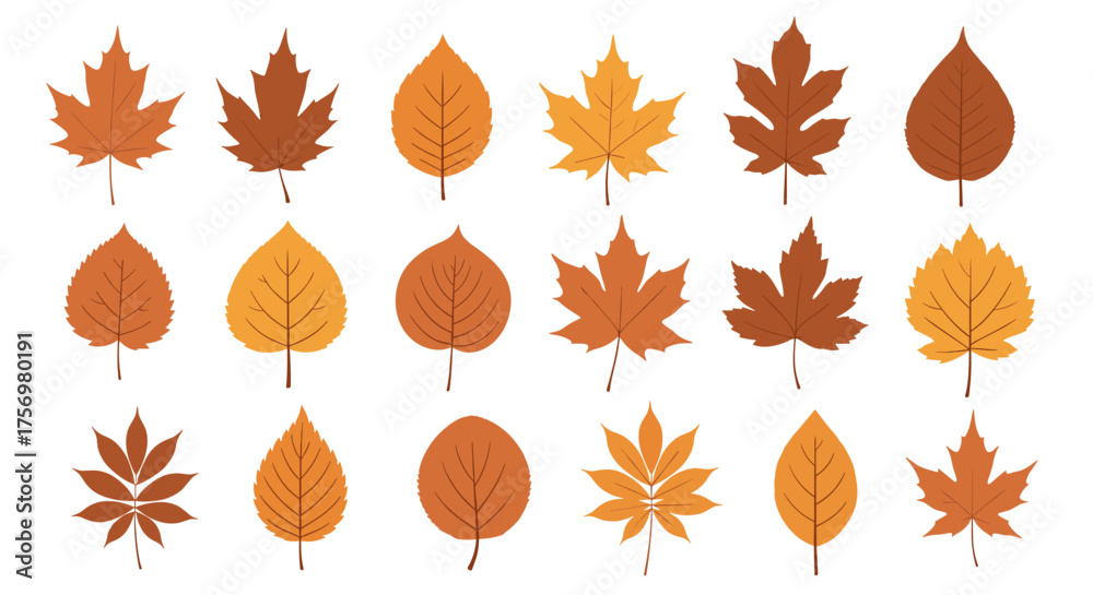 Fototapeta premium A collection of various autumn leaves in warm earth tones displaying their distinct shapes and textures.