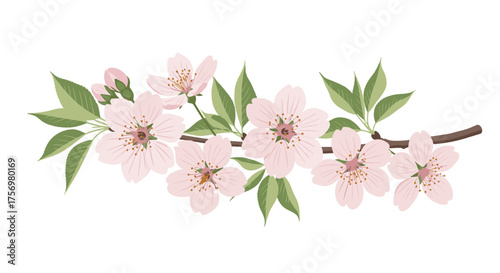 Delicate pale pink blossoms adorn a slender brown branch with vibrant green leaves symbolizing springtime beauty.