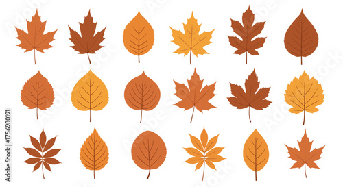 A collection of various autumn leaves in warm earth tones displaying their distinct shapes and textures.