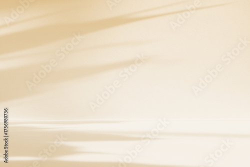 Abstract beige color gradient studio background for product presentation. Empty room with shadows of flowers and plant leaves. 3d ivory room with copy space. Summer concept. Blurred backdrop