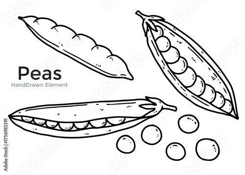 Detailed black and white illustration of pea pods, some open, with peas.