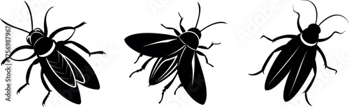 Set of Flying Cockroach Silhouette, Cockroach silhouette,