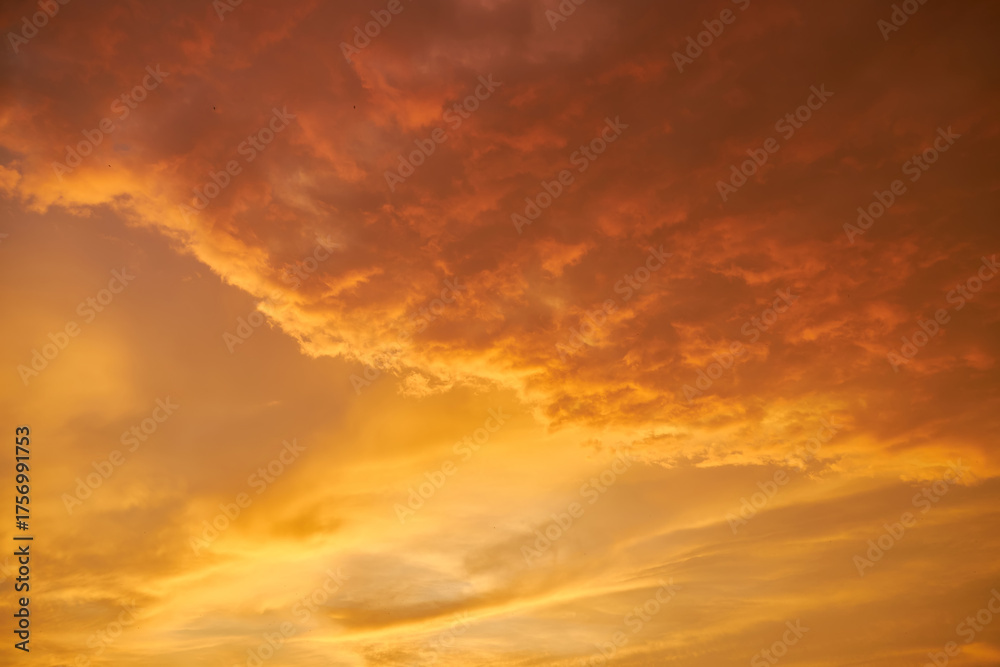 Fototapeta premium A dramatic fiery golden sky at sunset.