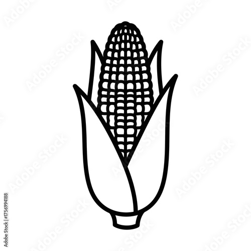 Outline drawing of an ear of corn with husk leaves around it isolated on a white background in vector format