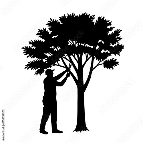 Silhouette of man pruning a tree outdoors for garden maintenance and arborist services silhouette flat design vector illustration white background