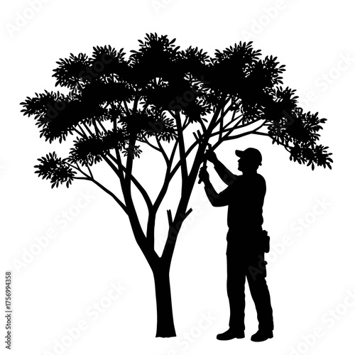 Gardener silhouetted trimming lush tree branches with precision and care for landscape design silhouette flat design vector illustration white background