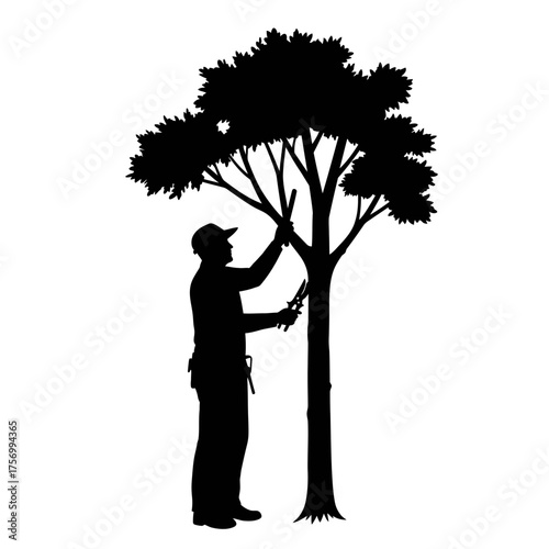 Arborist silhouette pruning a tall tree with tools for outdoor landscape maintenance silhouette flat design vector illustration white background