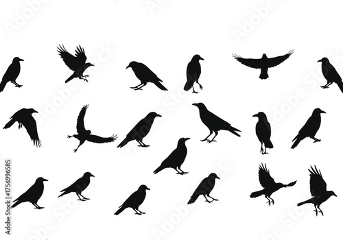 Crow raven silhouette set, flying and perched birds, black vector icon, wildlife symbol, spooky bird graphic, cad drawing flat vector illustration