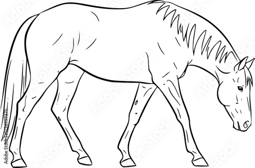 a minimalistic line drawing of a horse, simple black lines