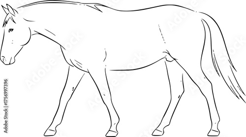 a minimalistic line drawing of a horse, simple black lines
