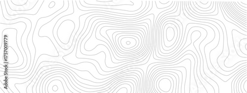 Topographic map lines abstract vector illustration contour geography scheme for cartography and terrain elevation