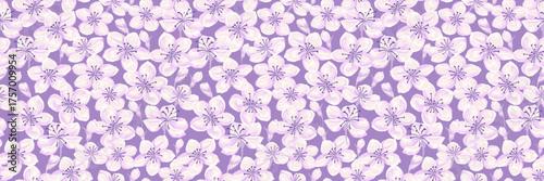Seamless vector pattern with hand drawn cherry blossoms in soft pink and lilac on a purple background. Romantic floral designs for spring textiles, wallpapers, packaging