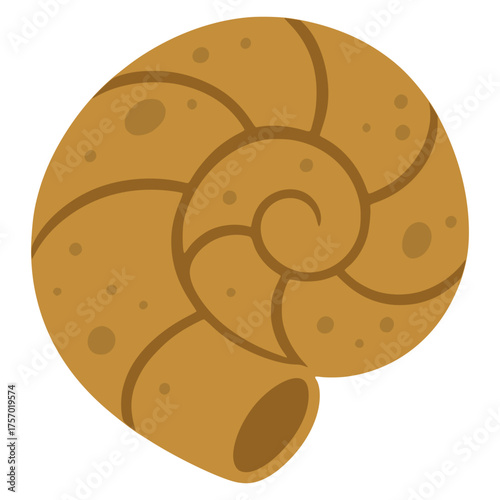 empty spiral shell sea life animal flat color vector illustration template design