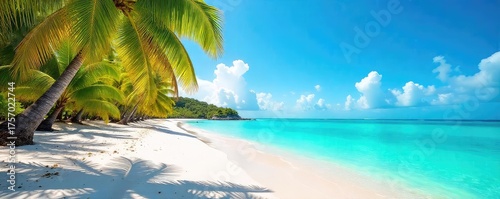 Sun-drenched beach scene with vibrant turquoise water, white sand, and lush palm trees swaying gently in the tropical breeze  Perfect for summer vacation themes , sunshine, peaceful, paradise