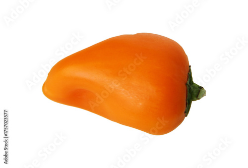 sweet orange pepper on transparent background