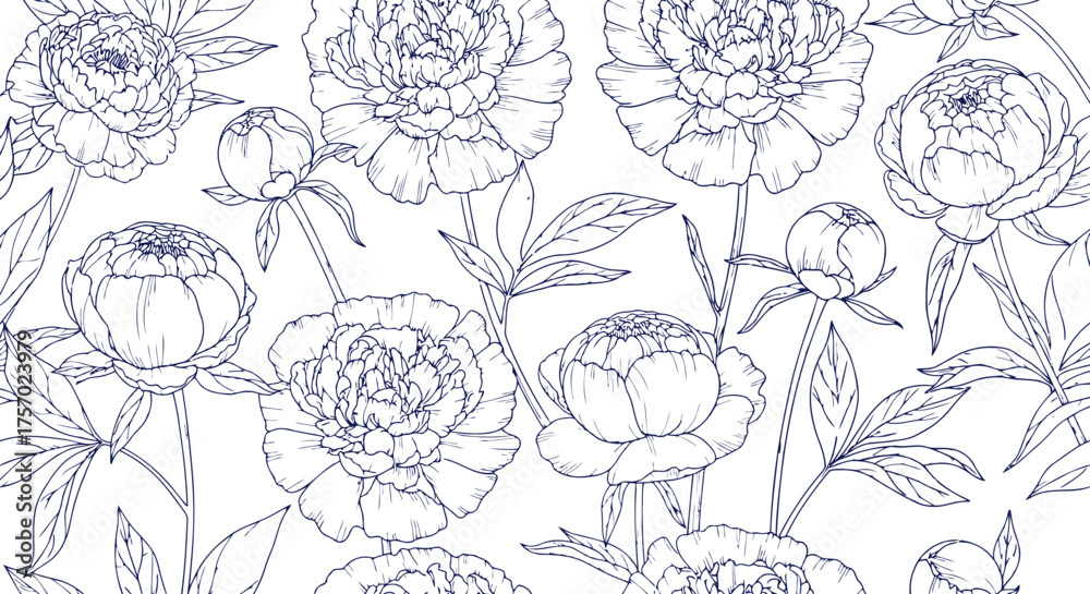 Fototapeta premium Elegant Peony Floral Pattern Dark Blue Outline on Black Background