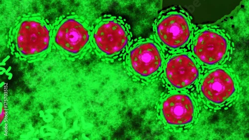 Zika virus particles microscopy animation scientific medical visualization