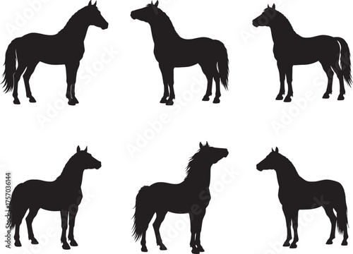 Collection of six black horse silhouettes standing in profile on a white background